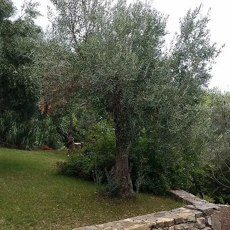 Aregai Marina & Santo Stefano al Mare